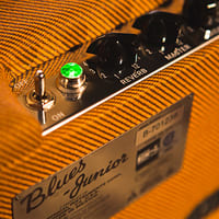 Mad Cow Amplification