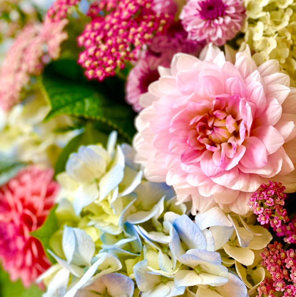 Schramm's Flowers & Gifts