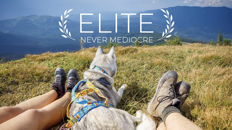 Dog Training Elite Greater Cleveland