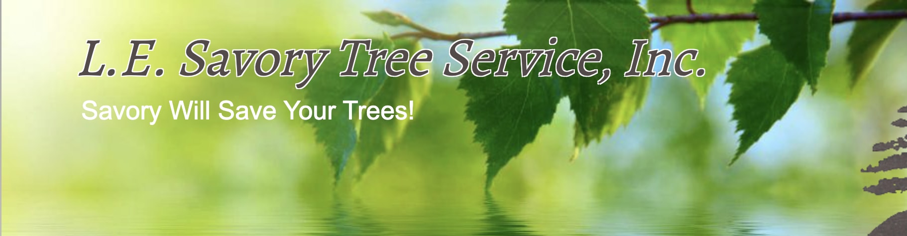 L.E. Savory Tree Service, Inc.