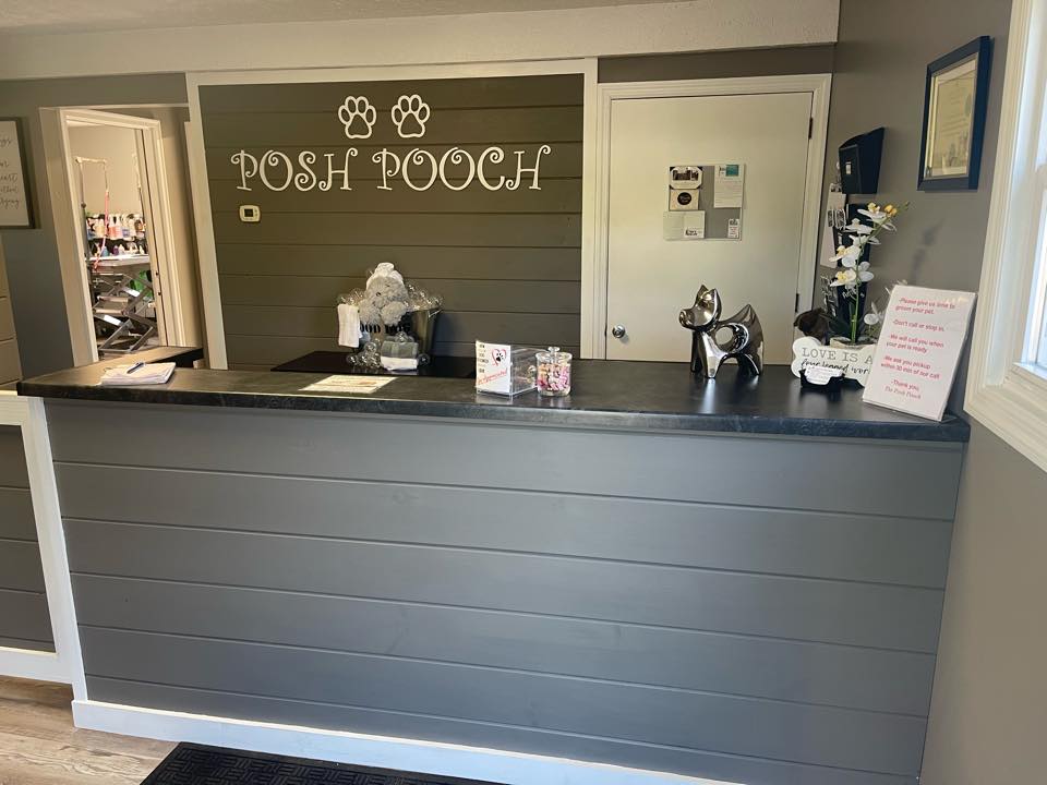 Posh Pooch Dog Grooming