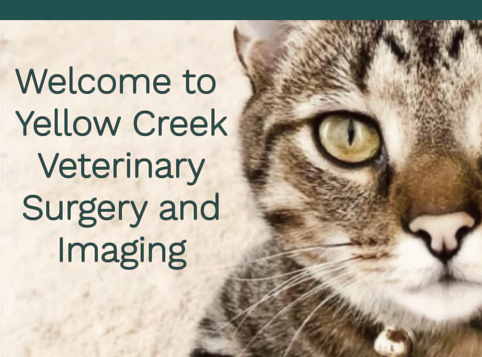 Yellow Creek Veterinary Surgery and Imaging