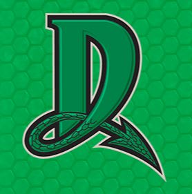 Dayton Dragons Professional Baseball Team