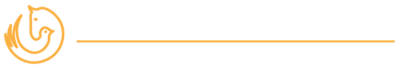 Morning Dove Therapeutic Riding Center