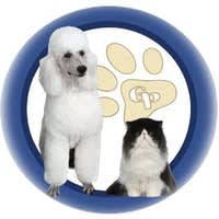 A Special Touch Grooming and Academy