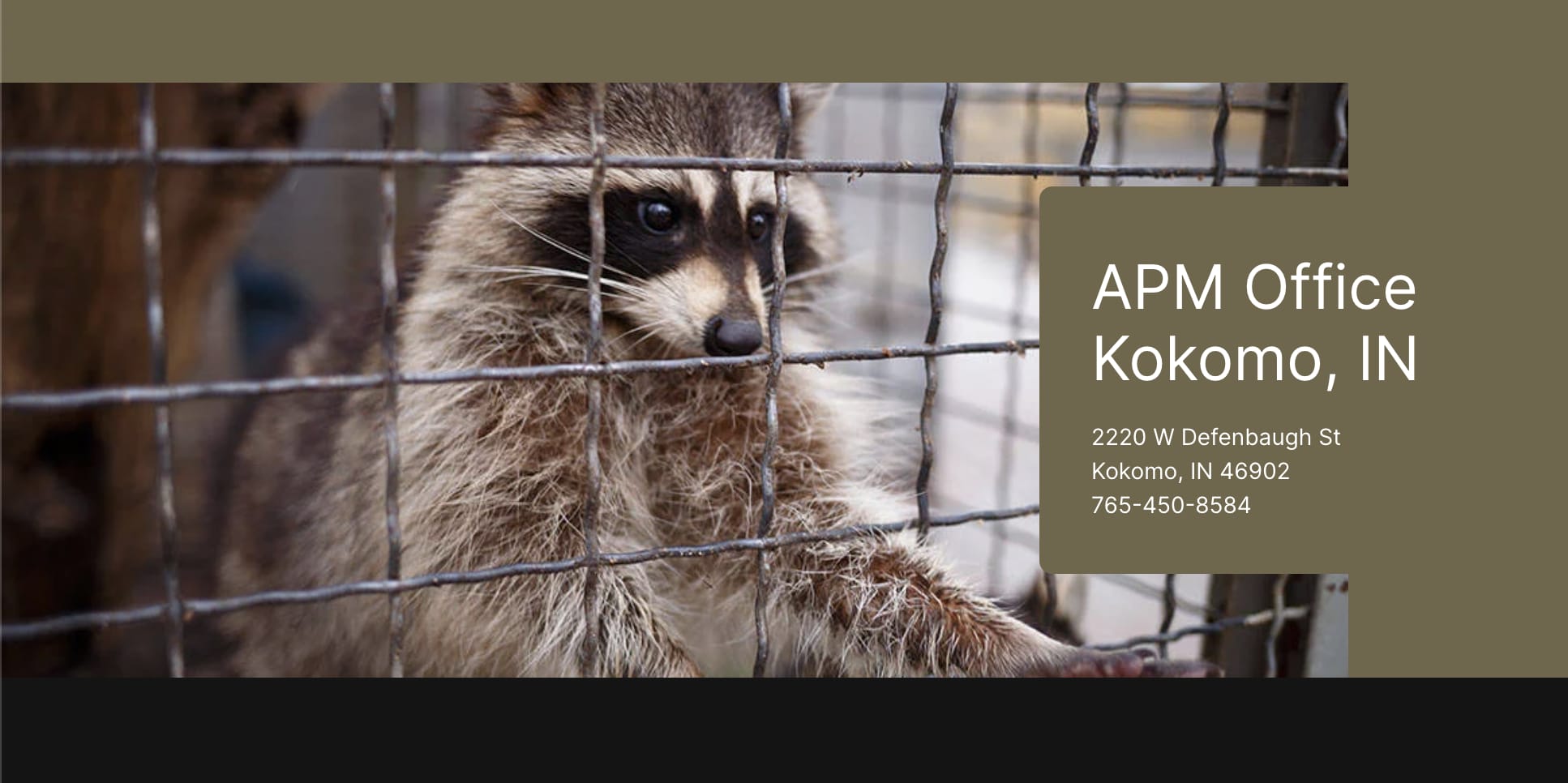 Affordable Pest Management