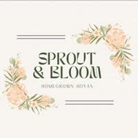 Sprout & Bloom Homegrown Hoyas