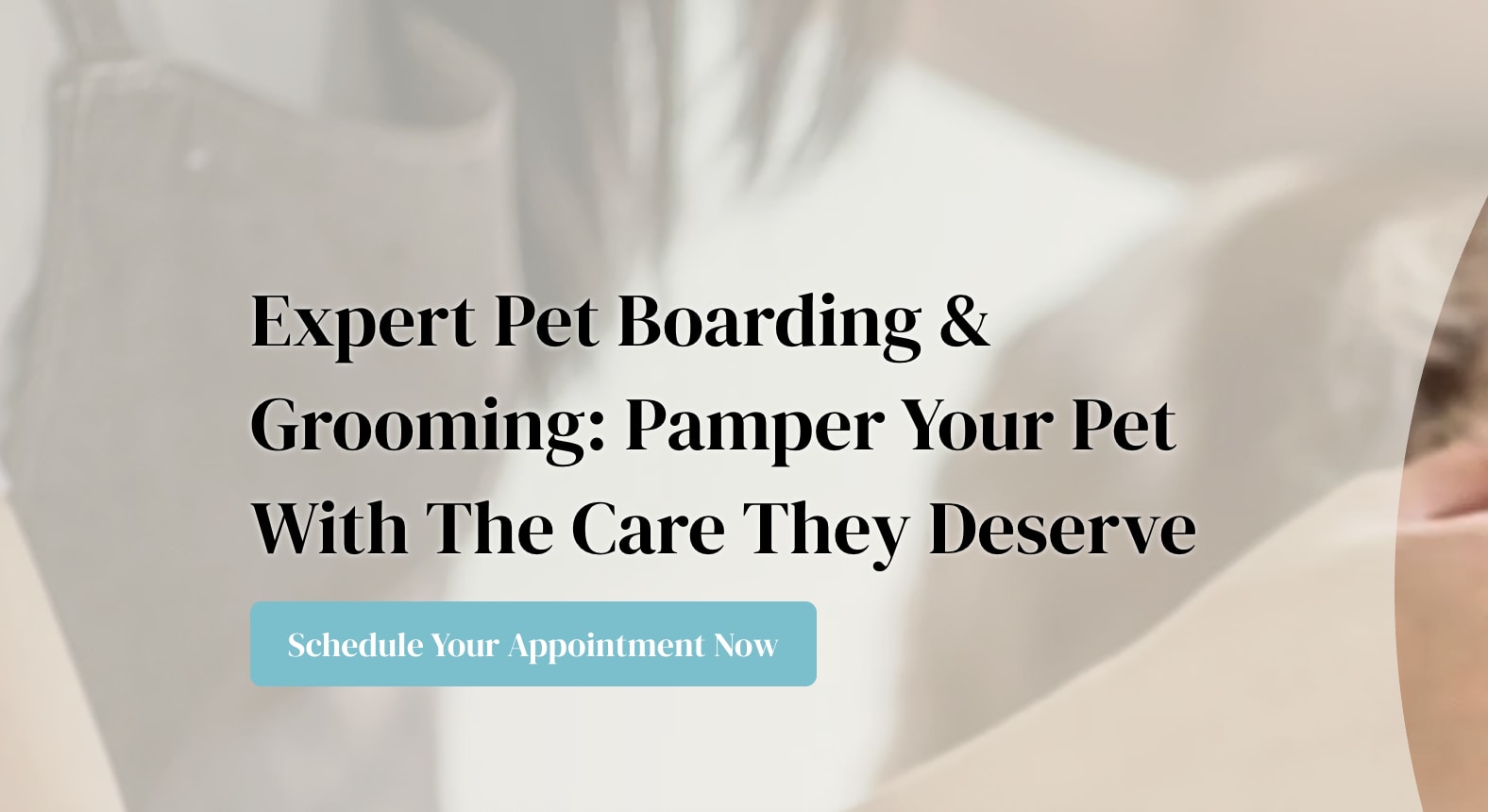 Aboite Boarding & Grooming