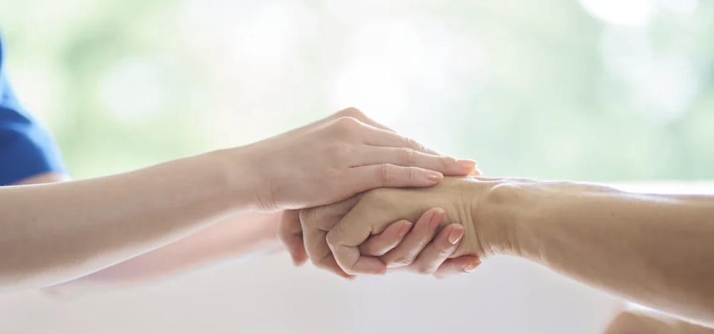 Senior Care of Michigan, LLC