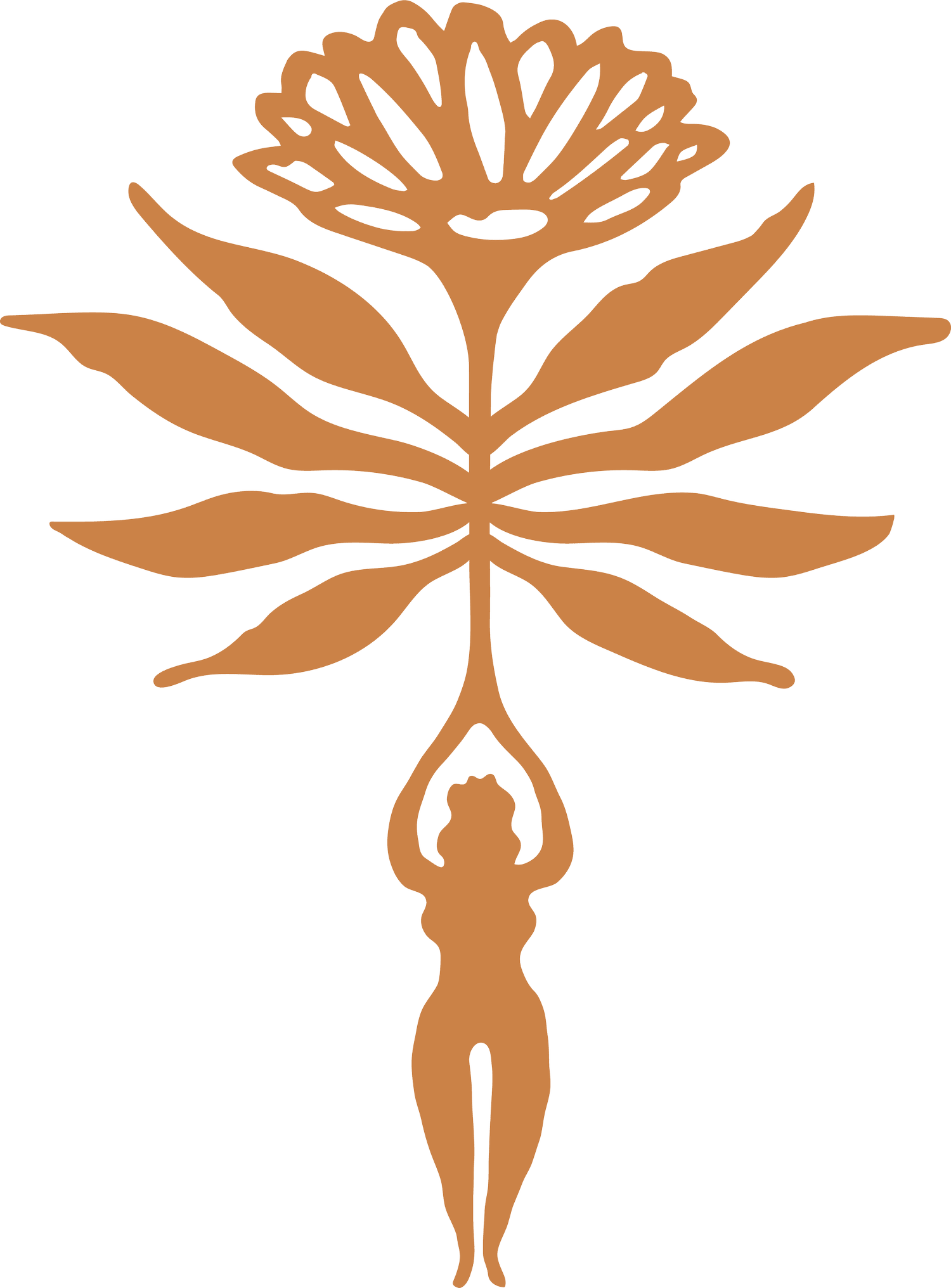 Terra Kitchen & Cocktails