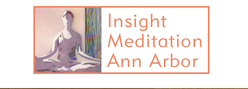 Insight Meditation Ann Arbor