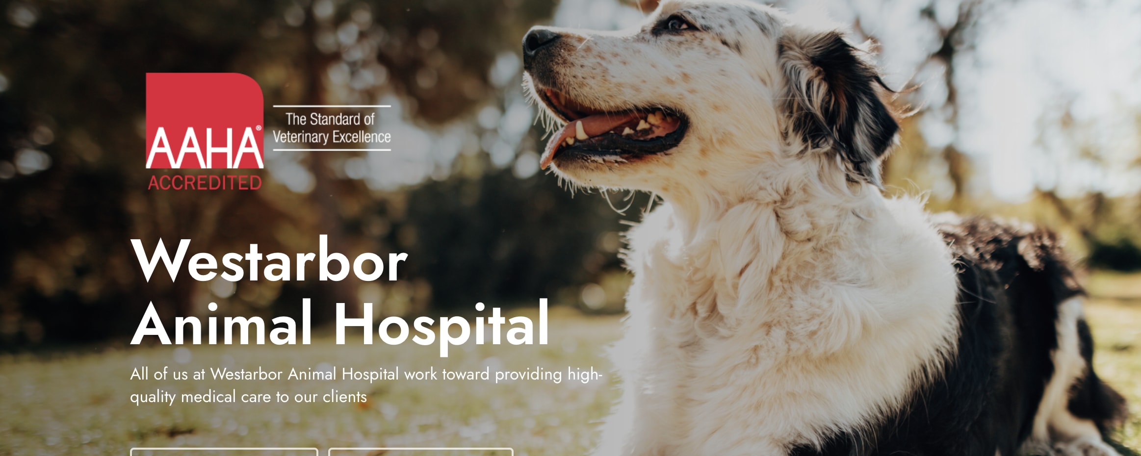 West Arbor Animal Hospital