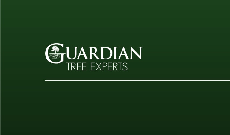 Guardian Tree Experts