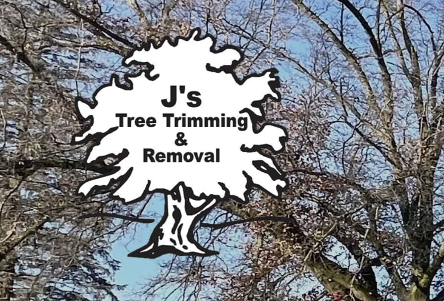 J's Tree Trimming & Removal
