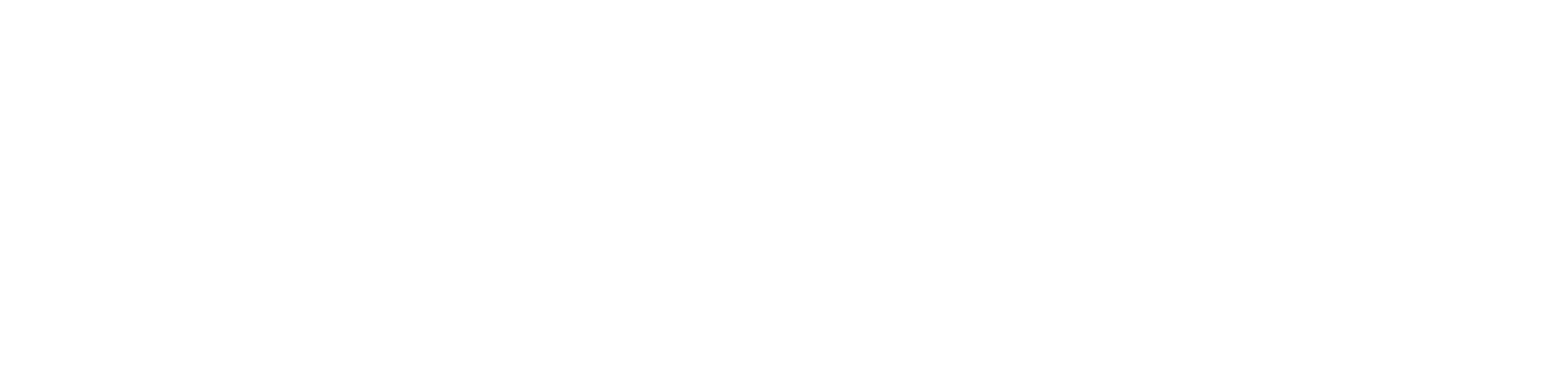 TinBug Design Studios