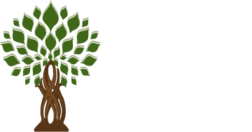 Infinity Tree & Outdoor Services