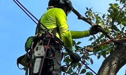 FG’s Tree Service