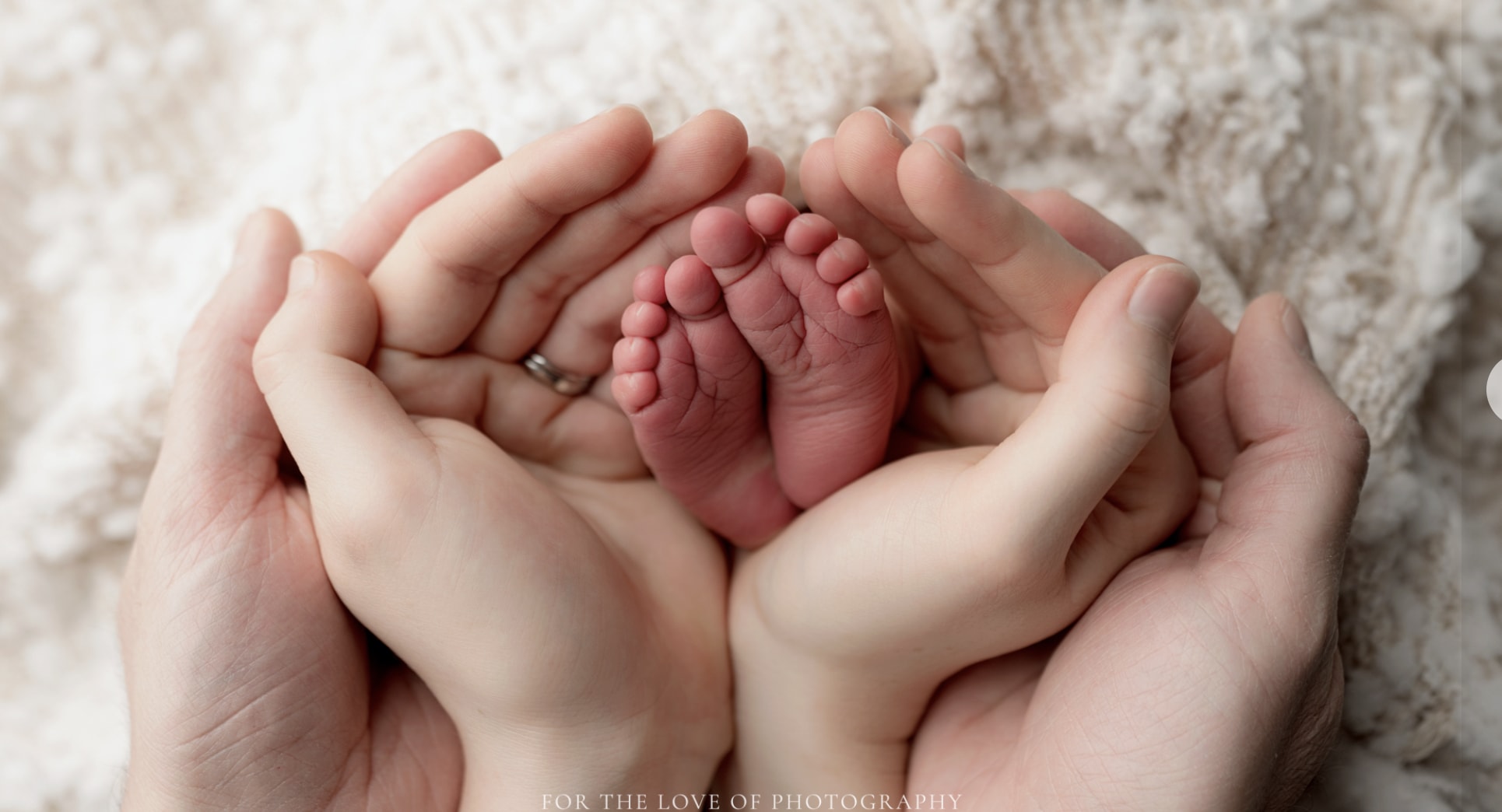  For the Love of Photography