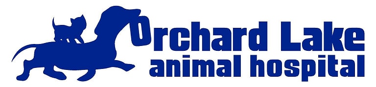 Orchard Lake Animal Hospital