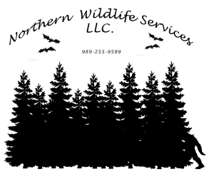 Northern Wildlife Services LLC
