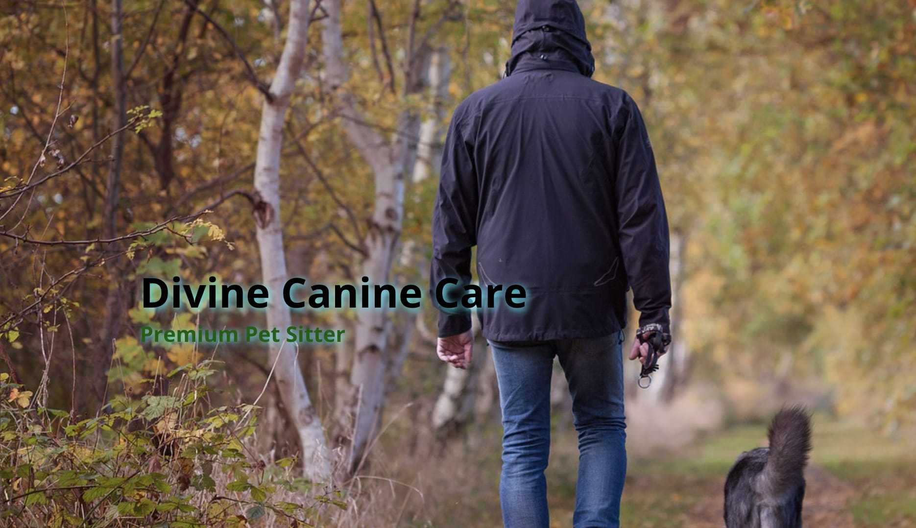 Divine Canine Care