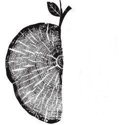 Thornapple Brewing Company