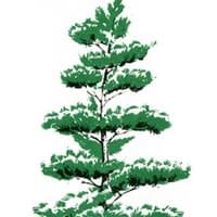 Greenleaf Landscape Supply