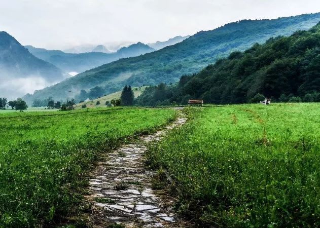 A Better Future Therapy Services 