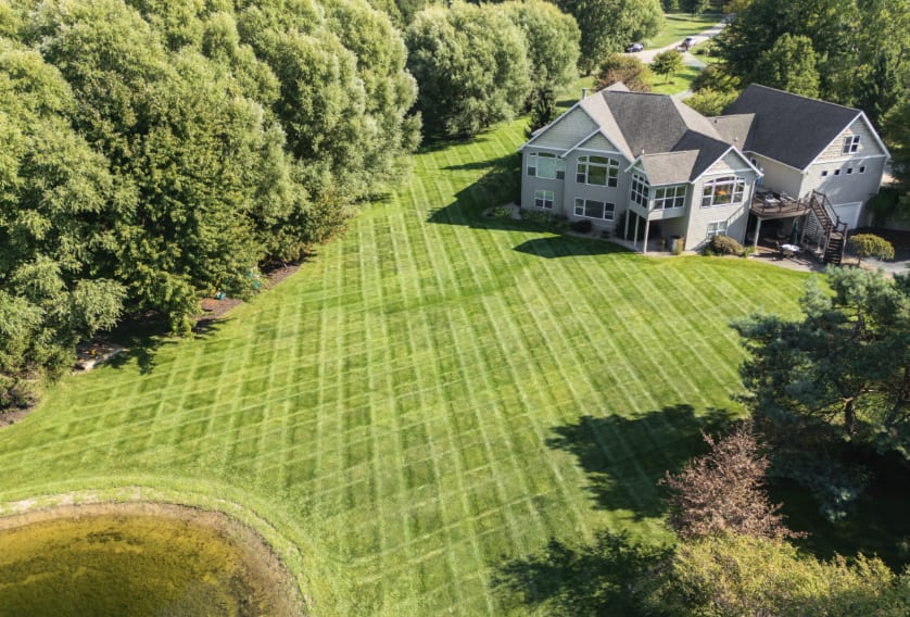 Riley's Lawn and Landscape