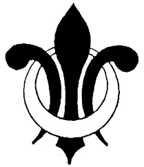 Converse Management Co