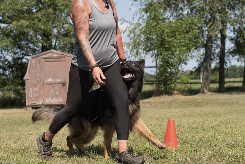 Ironclad K9 Training