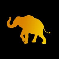 Joe Mascari's Carpets and Rugs International