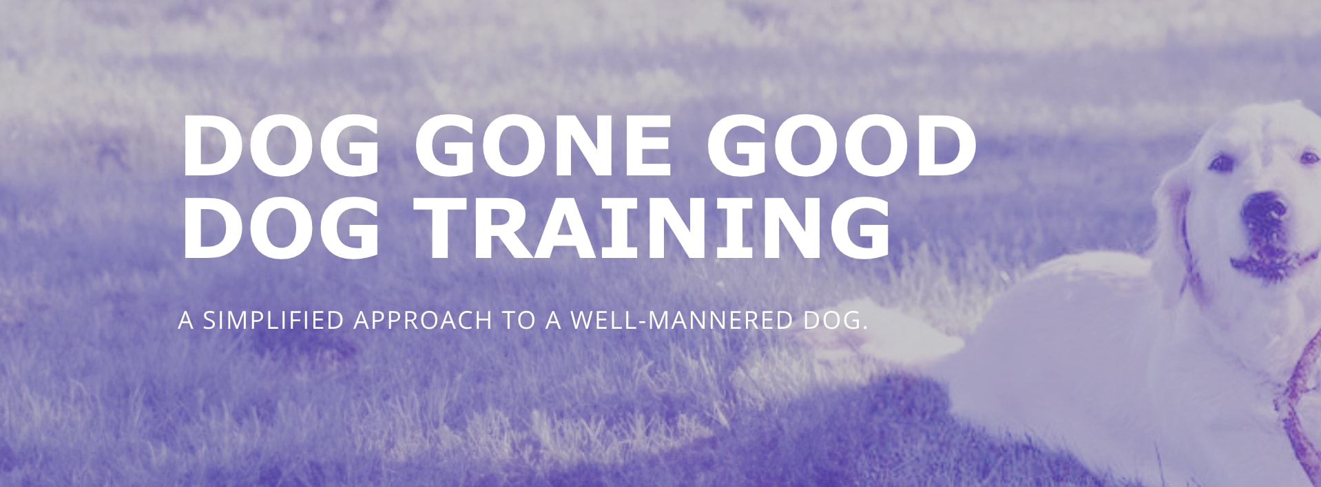 Dog Gone Good Dog Training