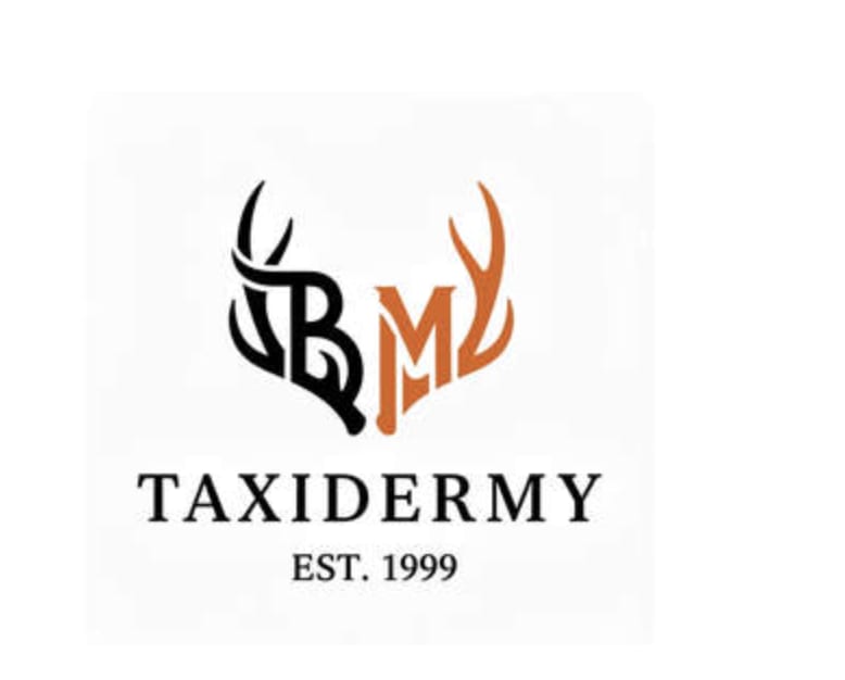 Brian Mower Taxidermy