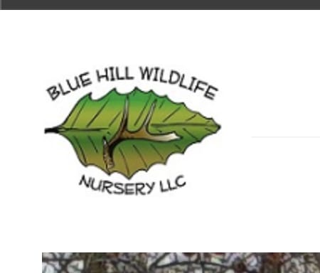Blue Hill Wildlife Nursery