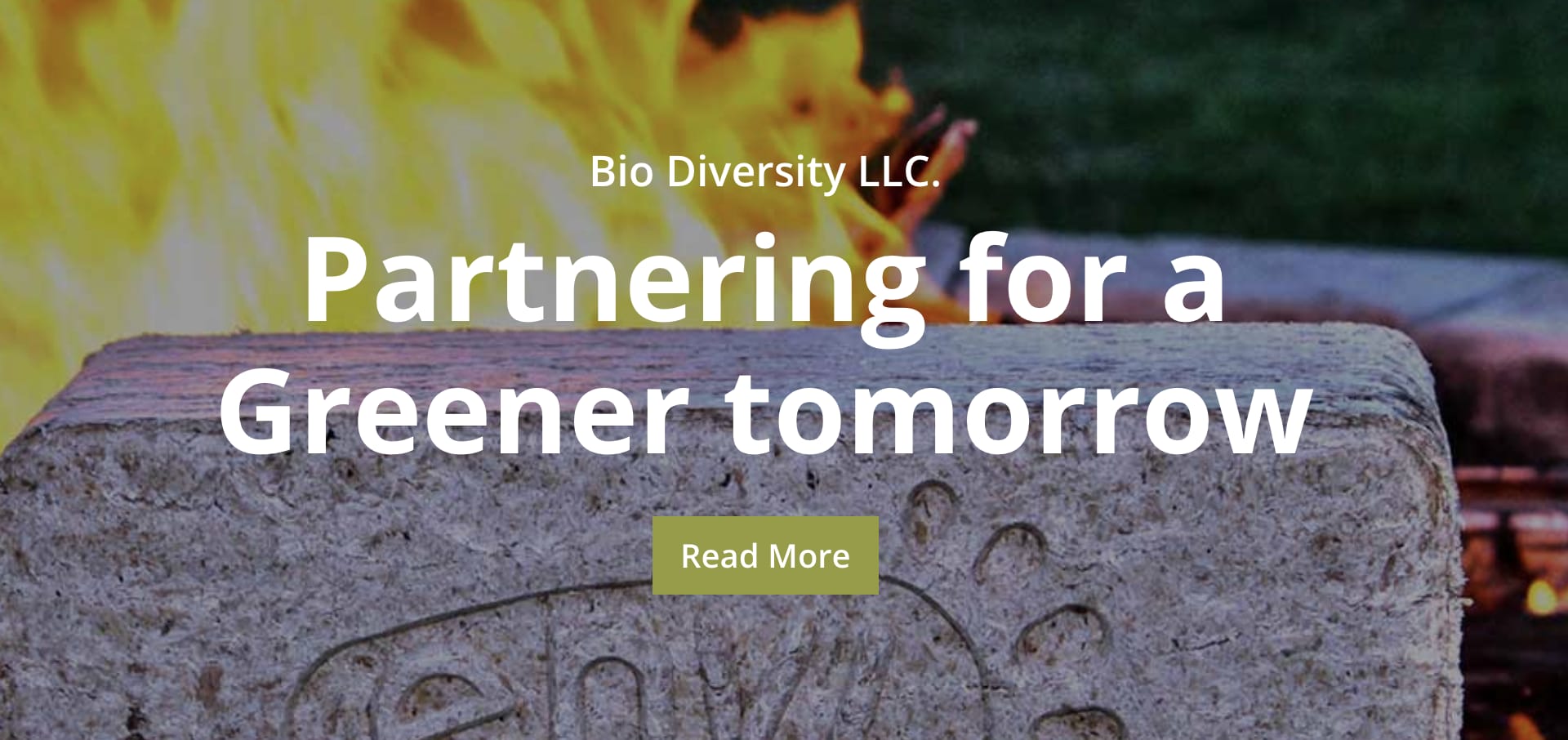Bio‑Diversity LLC