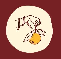 Cicala at the Divine Lorraine