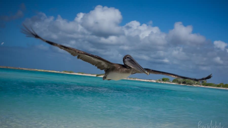 Bev Michel Photography