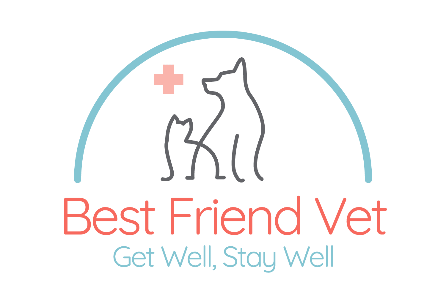 Best Friend Vet
