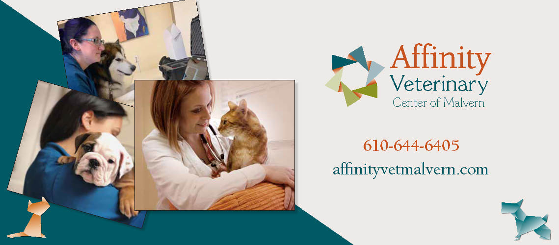 Affinity Veterinary Center of Malvern
