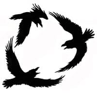 ThreeBirds Coffee House