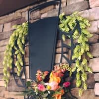 The Barley Mow