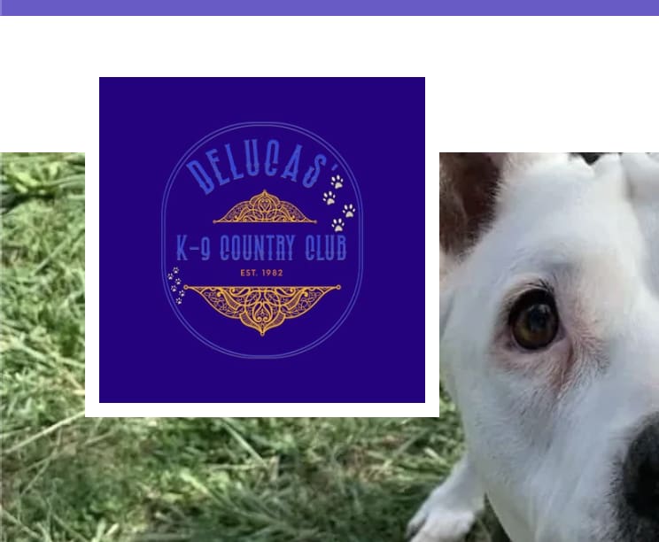 DeLuca's Canine Country Club