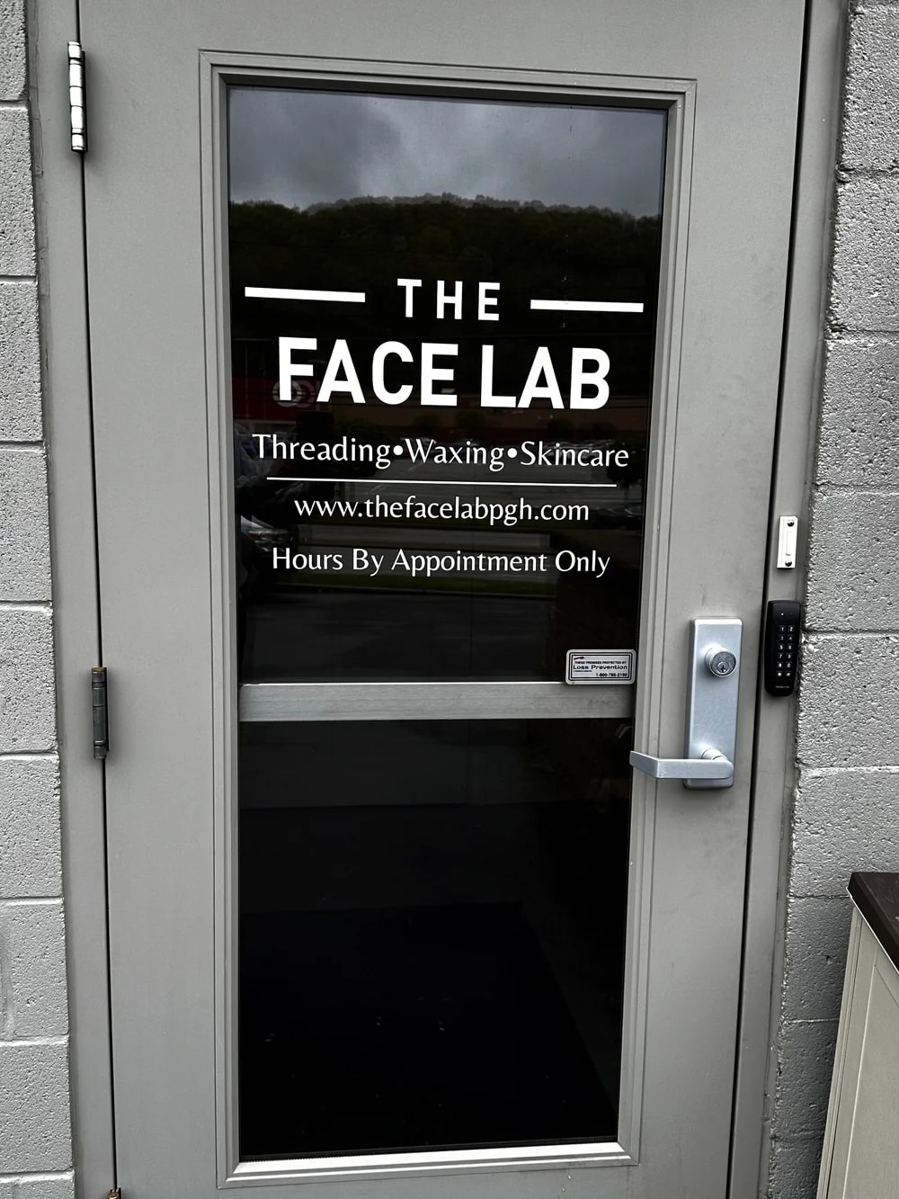 The Face Lab