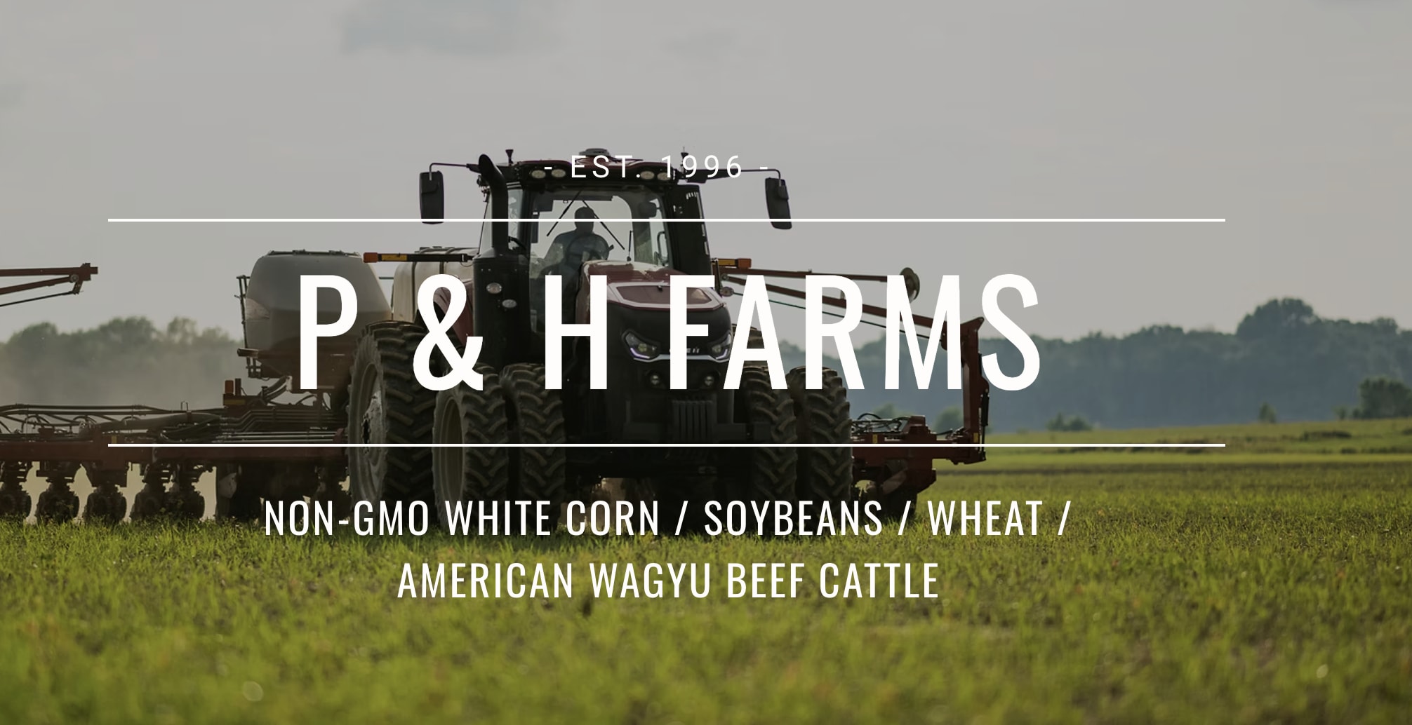  P & H Farms