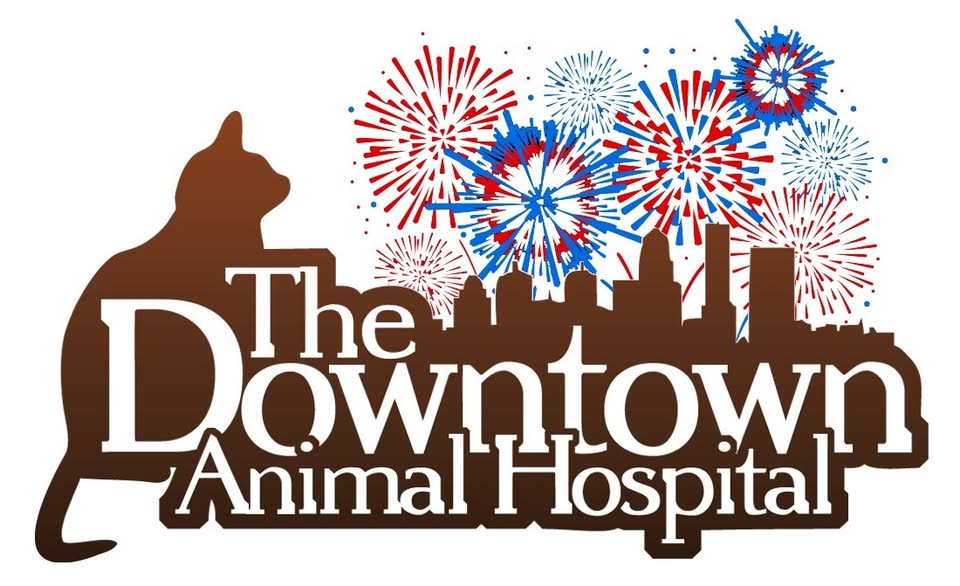 The Downtown Animal Hospital 