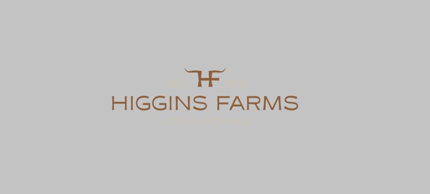 Higgins Farms Longhorns