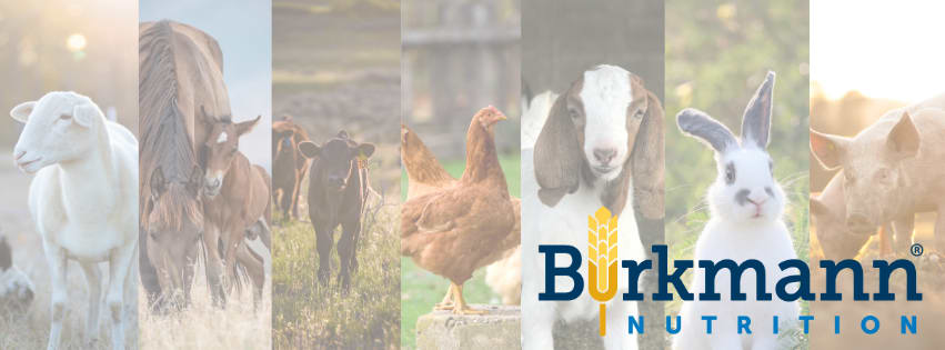 Burkmann Nutrition