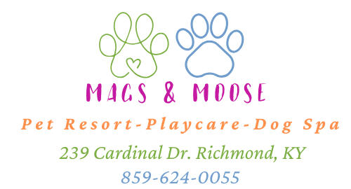 Mags & Moose Pet Resort