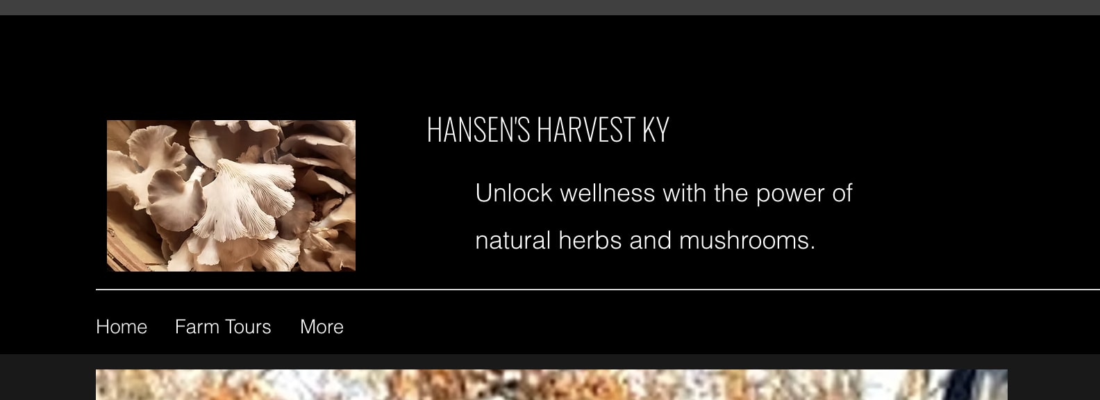 Hansen's Harvest KY